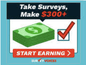 Is Survey Voices Legit