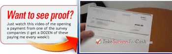 Take Surveys For Cash review