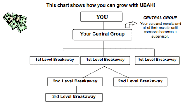 Usborne Books MLM compensation