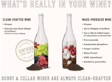 Scout and Cellar Review: Clean Crafted Wine
