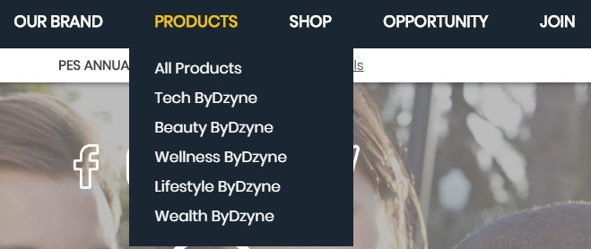 Is ByDzyne a Scam: Categories