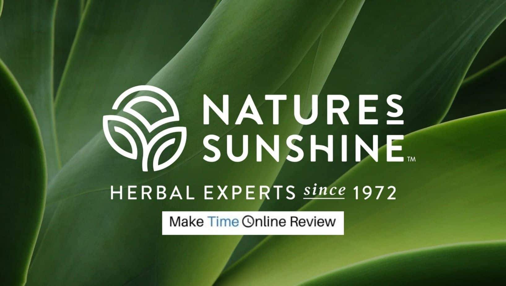 Натура саншайн. NSP логотип. Логотип НСП новый. NSP логотип новый. Natures Sunshine логотип.