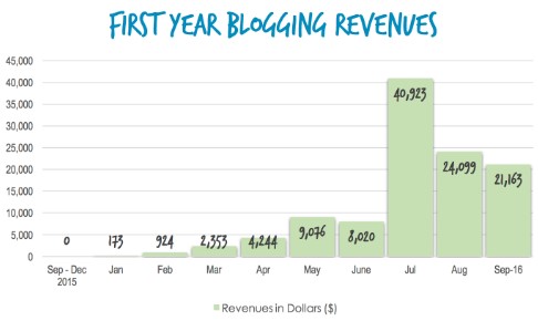Create and Go Launch Your Blog Biz Review: Pros 2